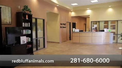 cheap hotels in pasadena texas that are pet friendly